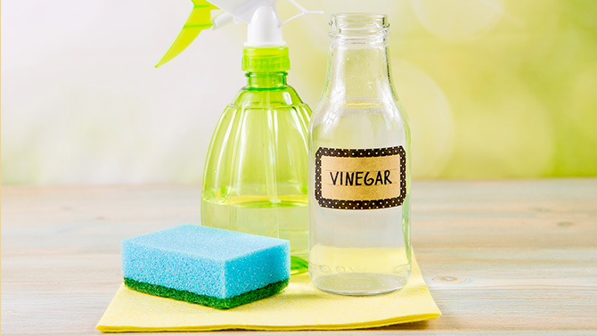 Clean Your Refrigerator with Vinegar