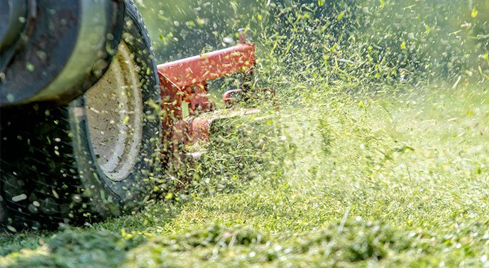 Grass being discharged from the side of a push mower